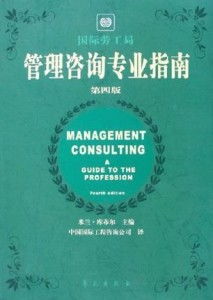 管理咨詢專業(yè)指南 第4版