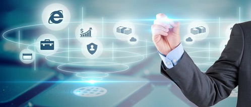 軟件開發(fā)和咨詢以及管理高收入人群稅收籌劃