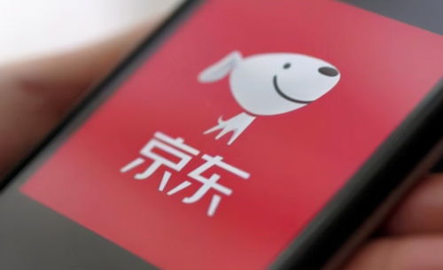 京東關(guān)聯(lián)企業(yè)布局數(shù)字科技新領(lǐng)域，動漫動畫設計及數(shù)據(jù)處理成新增長點