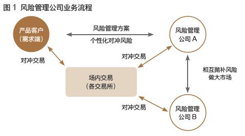 風(fēng)險(xiǎn)管理公司 企業(yè)穩(wěn)健前行的戰(zhàn)略伙伴與風(fēng)險(xiǎn)管理咨詢服務(wù)解析