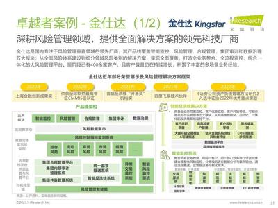 2023年中國(guó)資本市場(chǎng)風(fēng)險(xiǎn)管理IT服務(wù)市場(chǎng)研究報(bào)告 風(fēng)險(xiǎn)管理咨詢服務(wù)篇